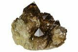 Smoky Citrine Crystal Cluster - Lwena, Congo #128424-2